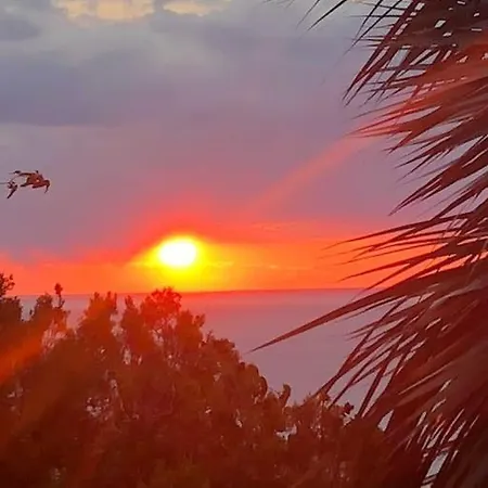 Rubis-vue A Couper Le Souflle Willa *