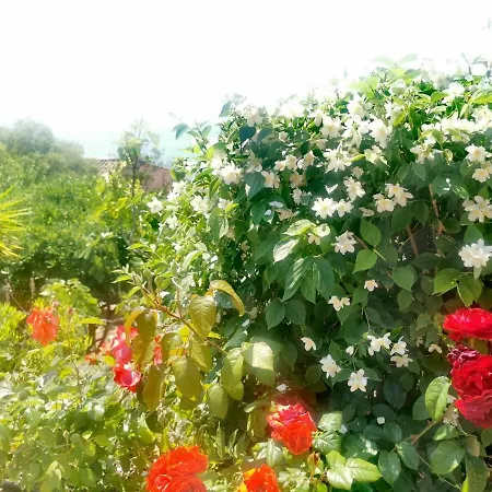 Rubis-vue A Couper Le Souflle Vila